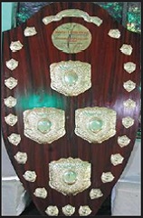 World Biggest Shield 8x4 Ft