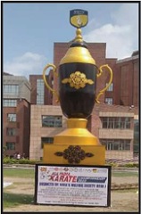 Limca Book of Records 2011