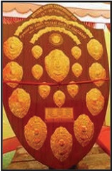 World Biggest Shield 8.5x6 Ft